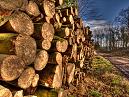 Wood Stack